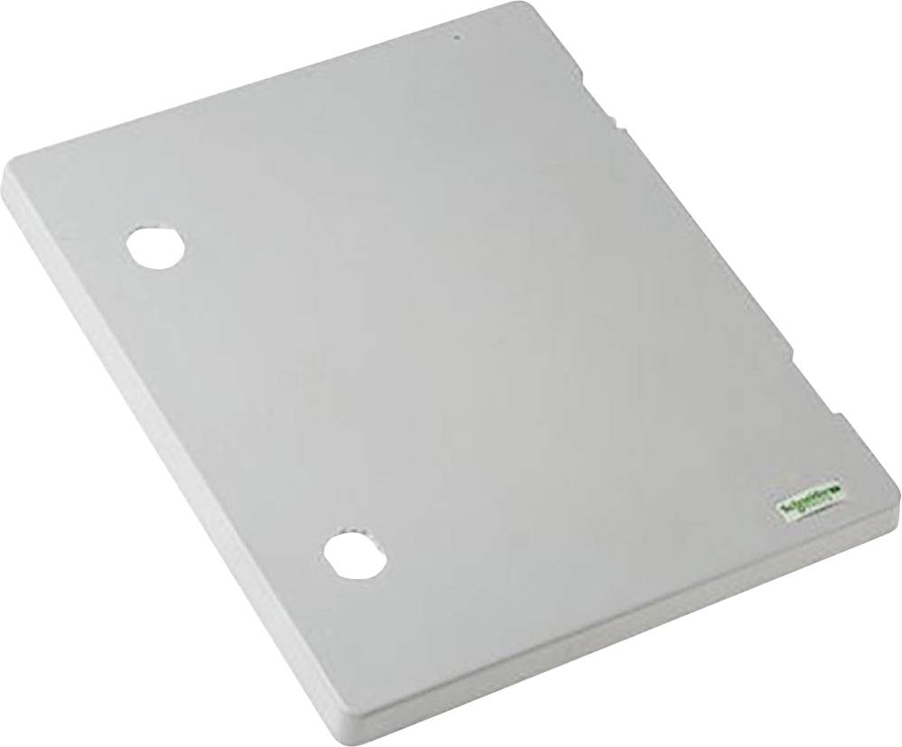 Schneider Electric NSYDPLM75G NSYDPLM75G Tür (B x H) 536mm x 747mm Polyester Lichtgrau (RAL 7035) 1St.