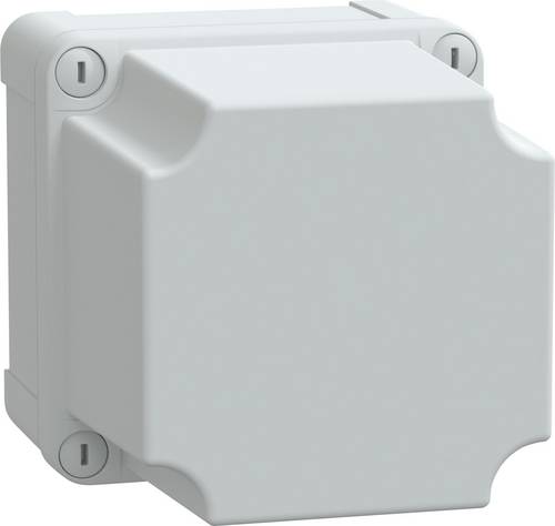 boîte industrielle - thalassa - abs - 116 x 116 x 133 mm - schneider electric nsytbs111113h