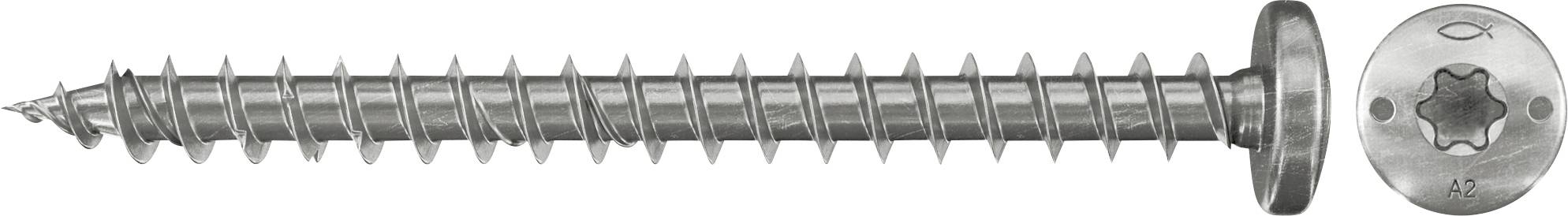 Eine silberfarbene Torx-Schraube in Seitenansicht, mit spitzer Spitze, groben Gewinden und einem runden Kopf, der mit T30 gekennzeichnet ist.