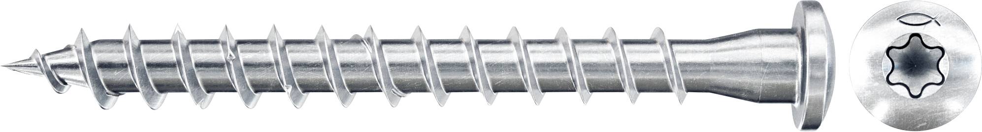 Eine silberfarbene Torx-Kopfschraube, horizontal dargestellt, mit spitzem Gewindeschaft und rundem Antriebskopf.
