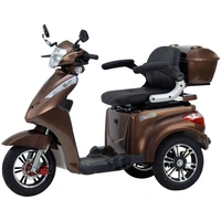 ECONELO E-Trike Braun Blei-Gel 60V 20Ah ECONELO E-Trike Braun Blei-Gel 60V 20Ah
