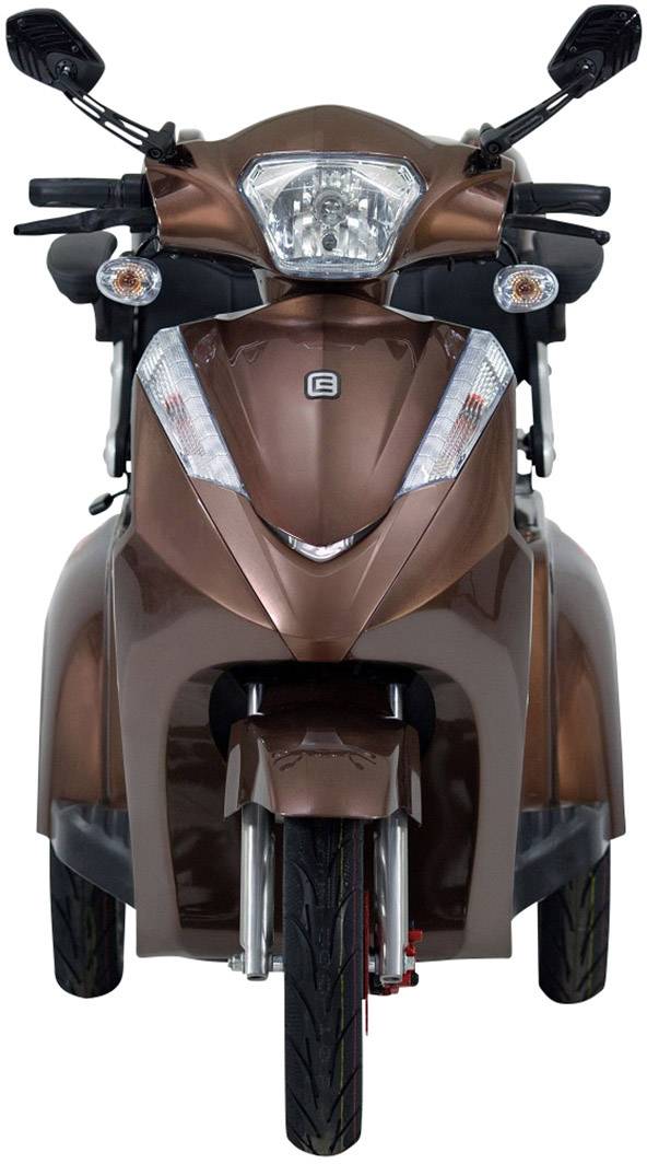 ECONELO E-Trike Braun Blei-Gel 60V 20Ah