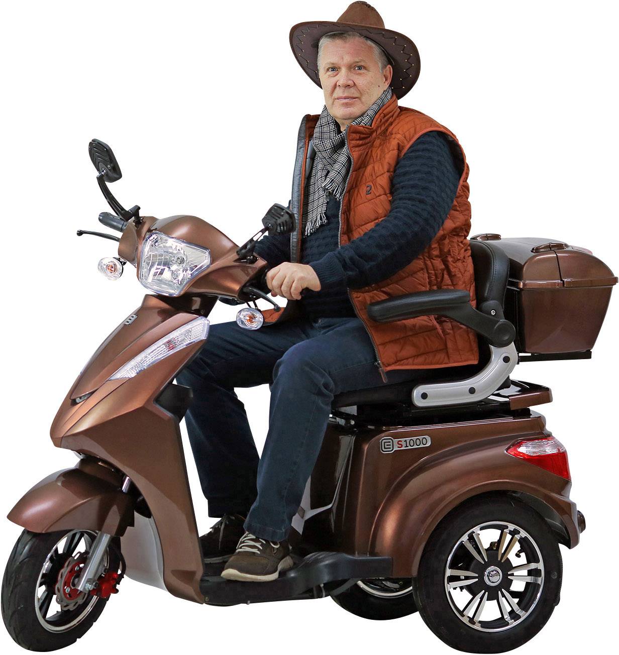 ECONELO E-Trike Braun Blei-Gel 60V 20Ah