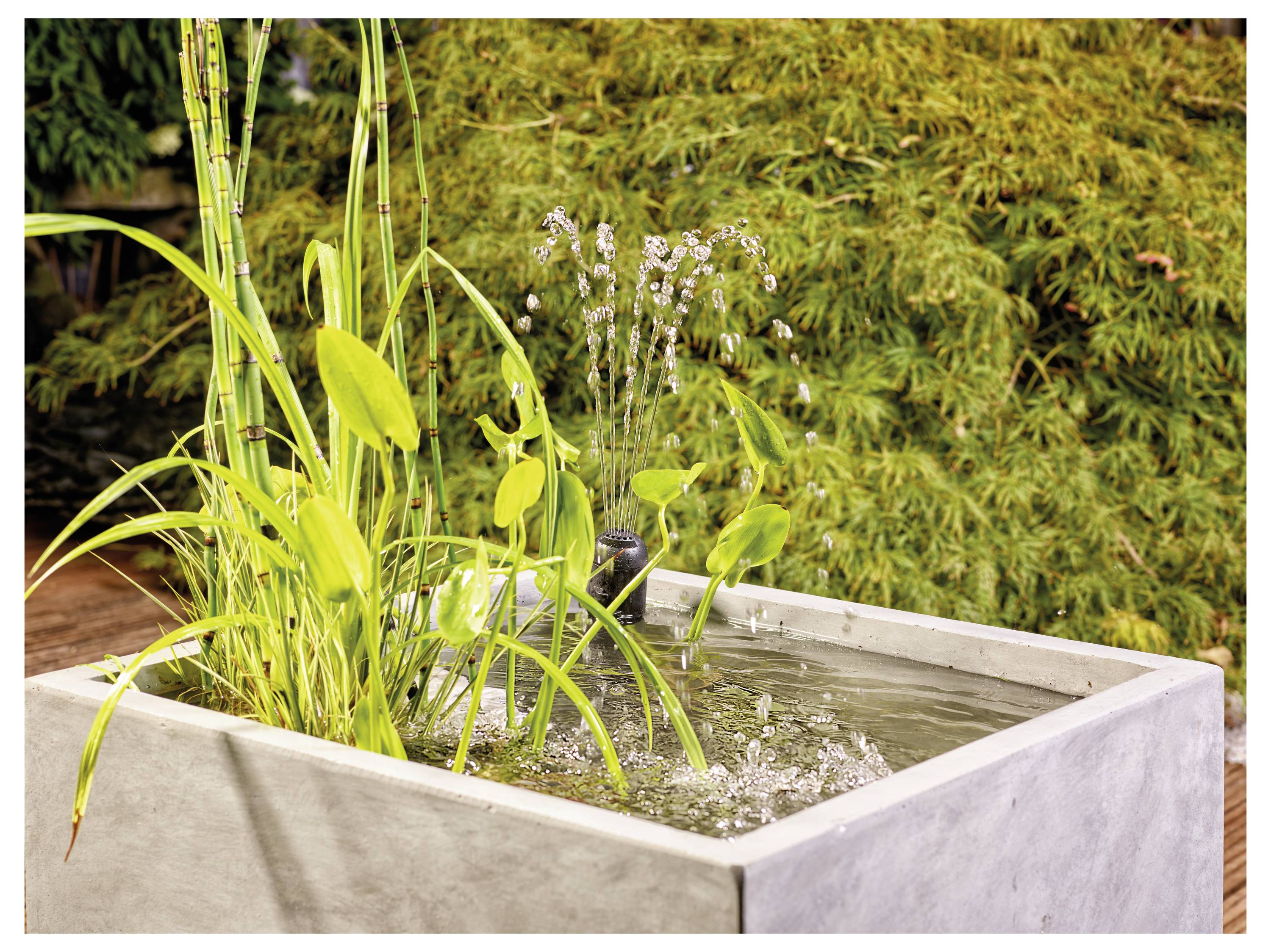 Ein Betonpflanzkübel mit Wasserpflanzen und einem sprudelnden Wasserelement, vor einer Kulisse üppiger Grünpflanzen, die eine ruhige Gartenszene schafft.