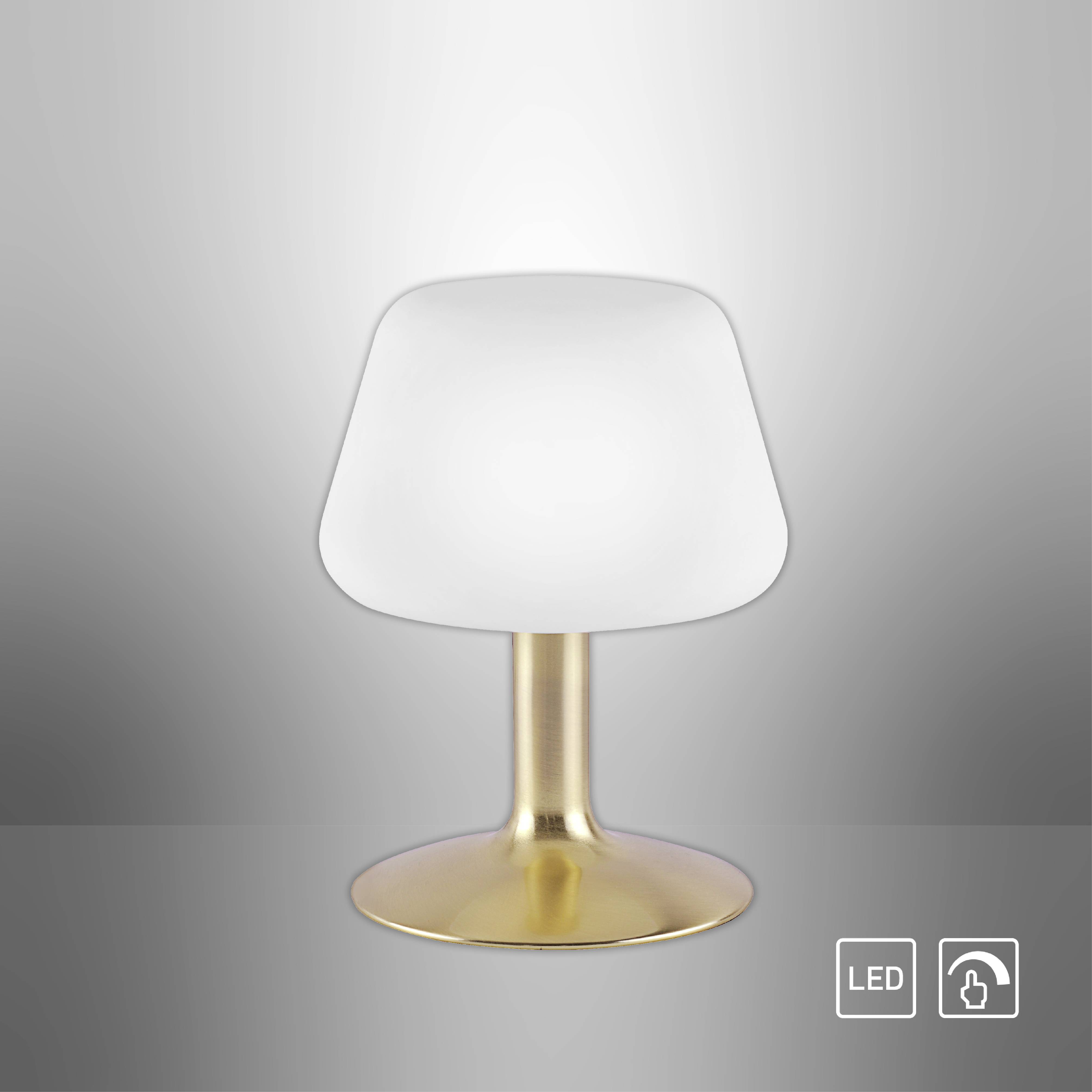 Paul Neuhaus TILL 4078-60 Nachttischlampe LED G9 3W Warmweiß Messing (matt)