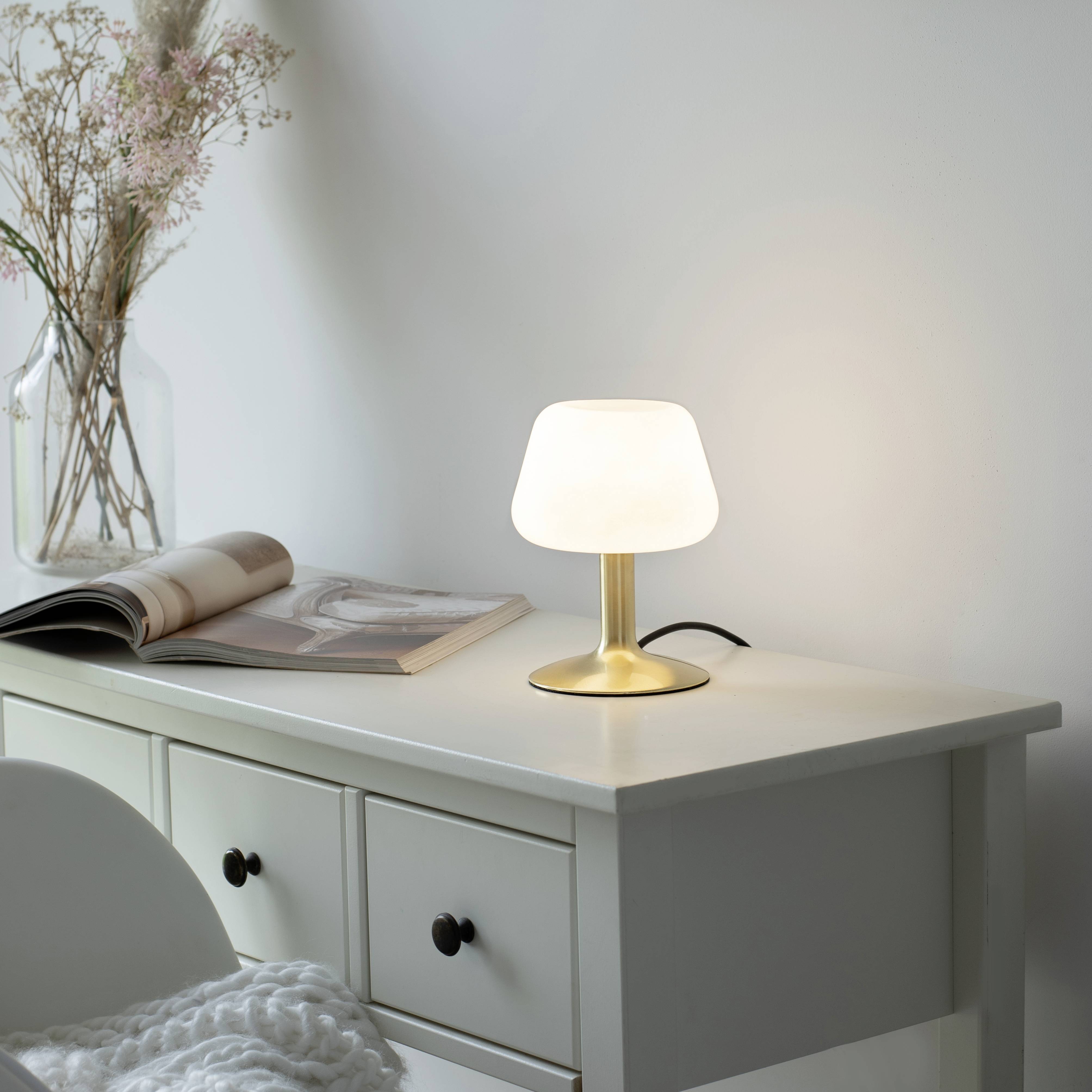 Paul Neuhaus TILL 4078-60 Nachttischlampe LED G9 3W Warmweiß Messing (matt)