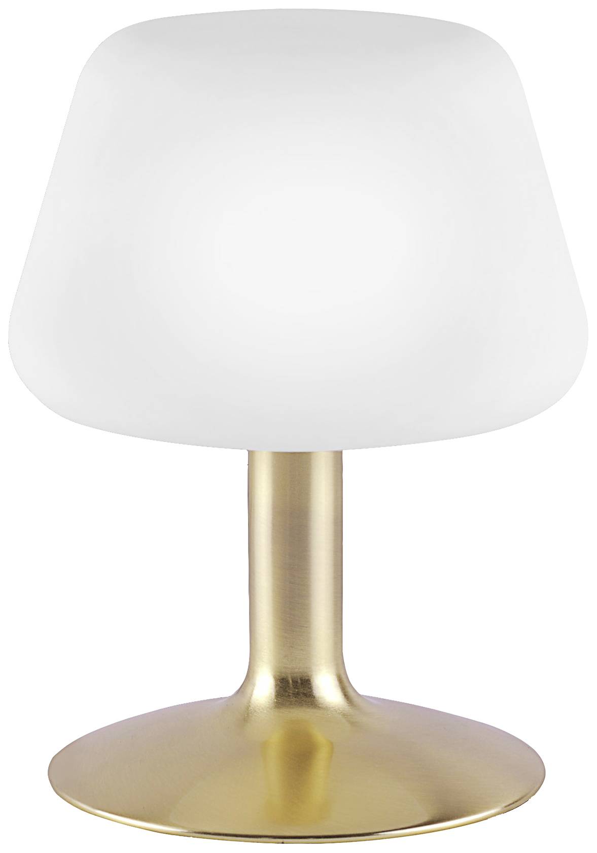 Paul Neuhaus TILL 4078-60 Nachttischlampe LED G9 3W Warmweiß Messing (matt)