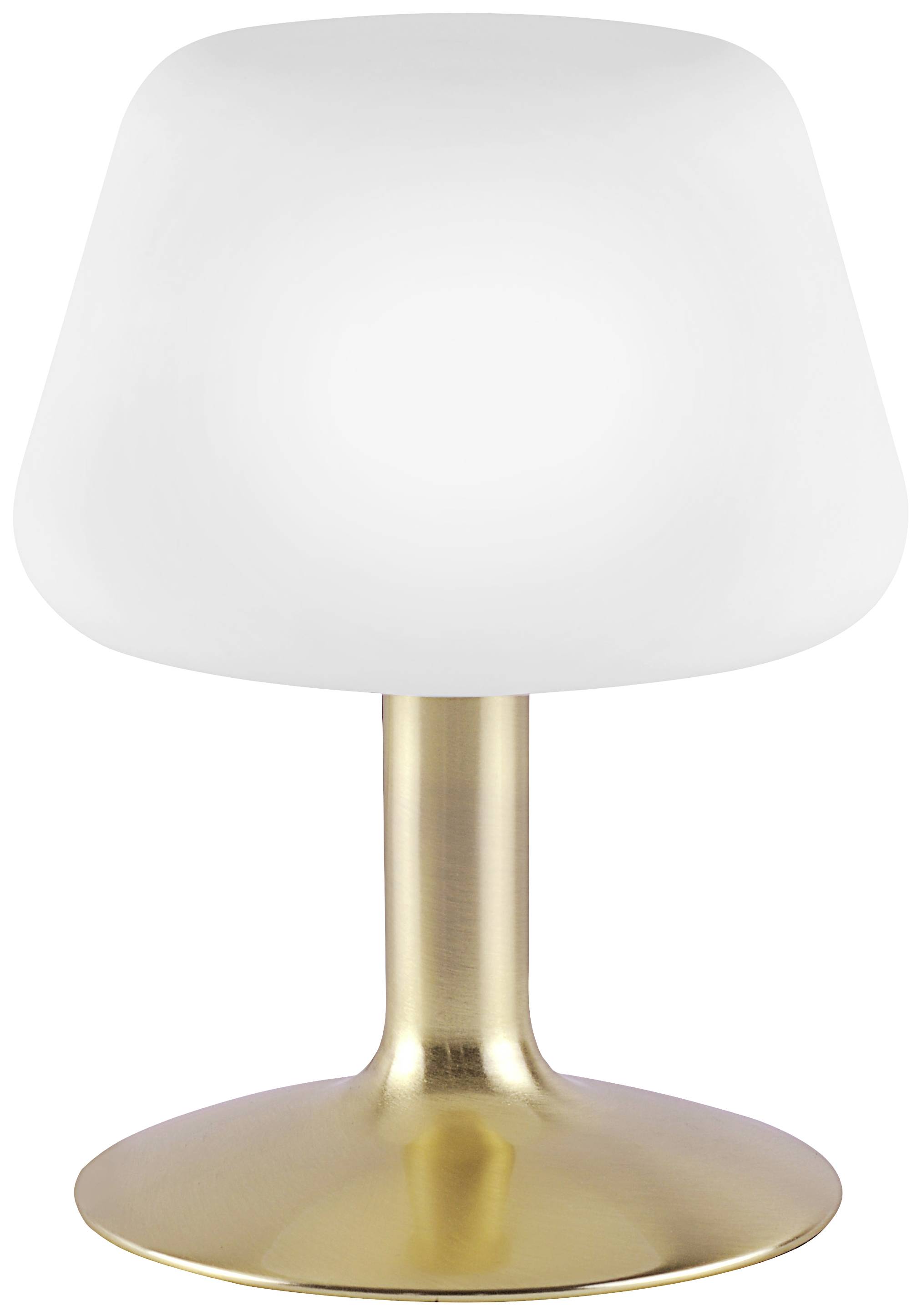 Paul Neuhaus TILL 4078-60 Nachttischlampe LED G9 3W Warmweiß Messing (matt)