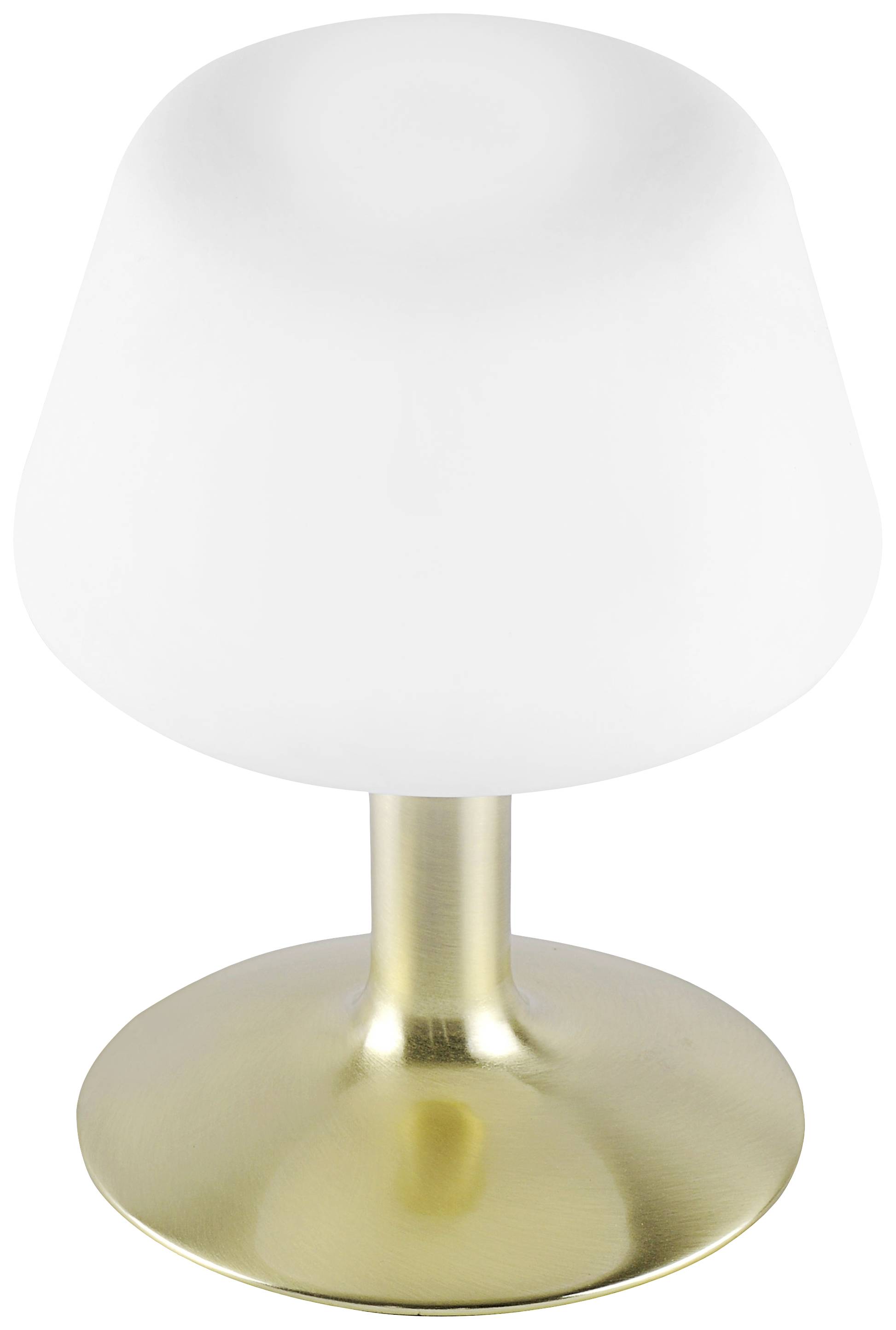 Paul Neuhaus TILL 4078-60 Nachttischlampe LED G9 3W Warmweiß Messing (matt)