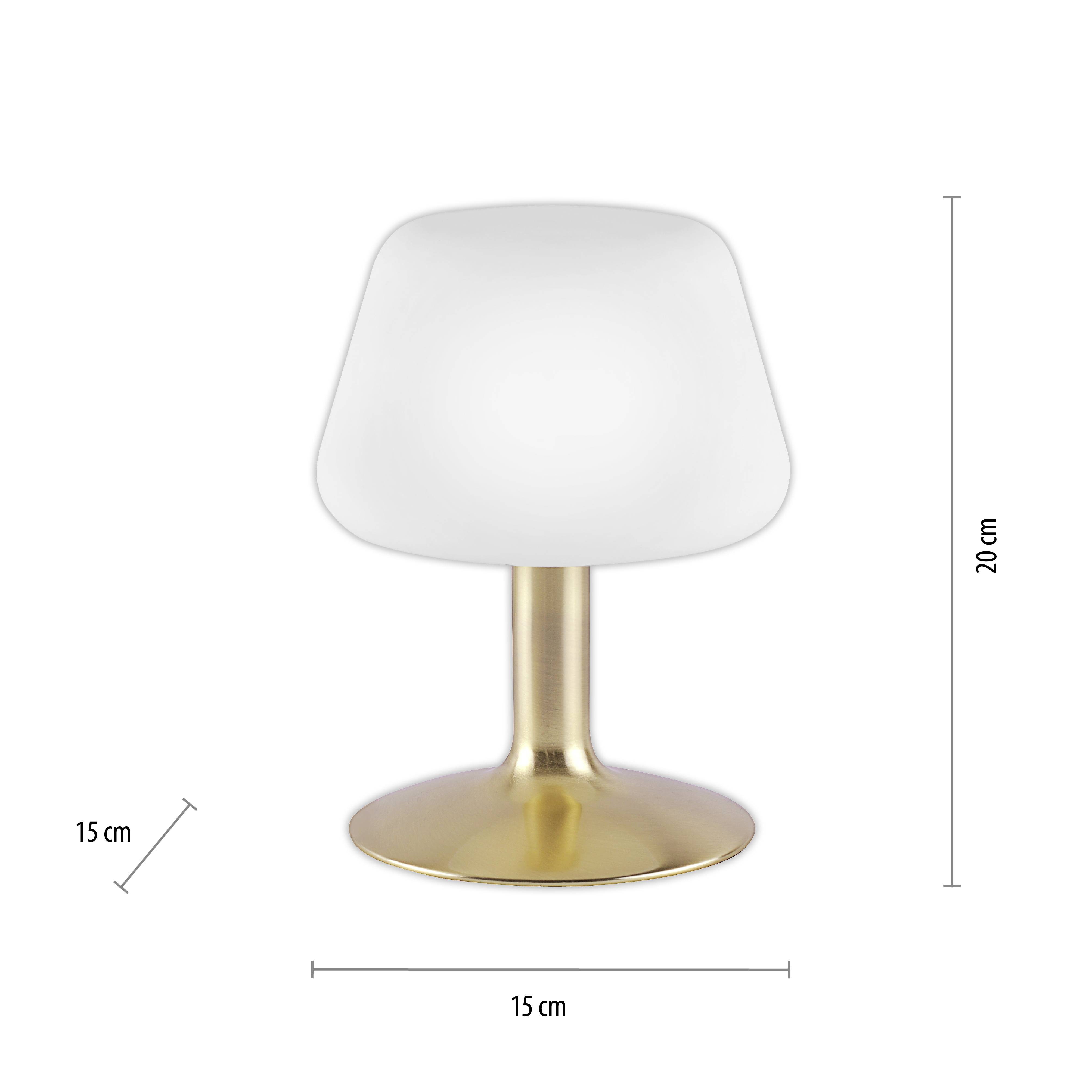 Paul Neuhaus TILL 4078-60 Nachttischlampe LED G9 3W Warmweiß Messing (matt)