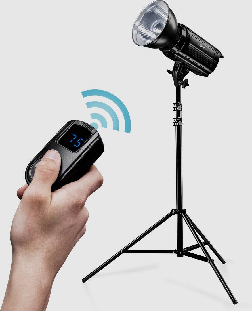 Walimex Pro 22254 Fotolampe 100 W