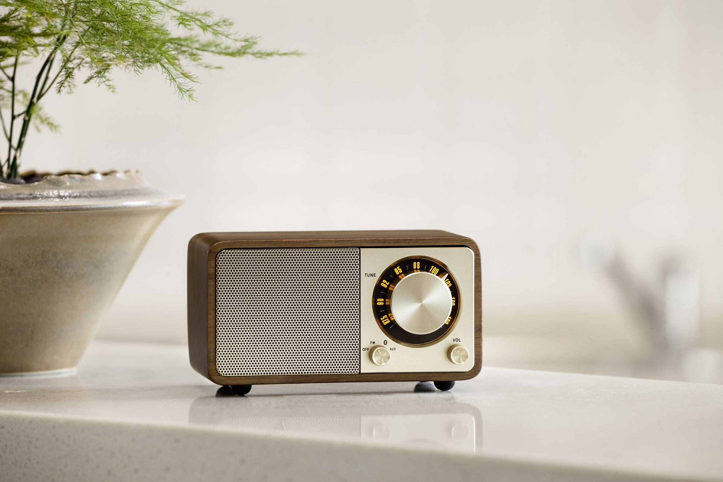 Kleines, vintage Radio mit braunem Gehäuse und goldenen Bedienelementen steht auf einem Tisch neben einer Pflanze.