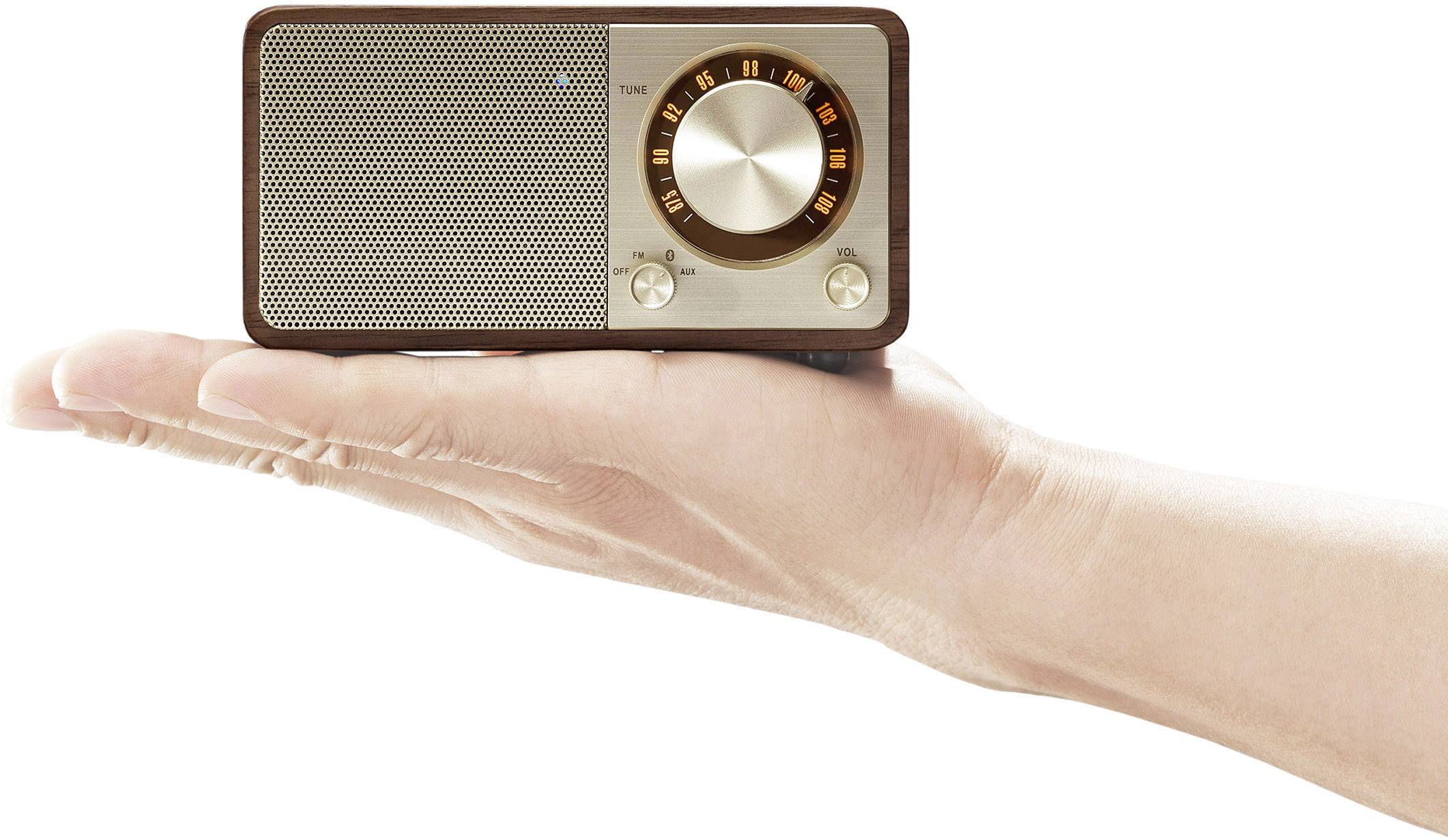 Eine Hand hält ein kleines, vintage Radio mit einem runden Lautstärkeregler und einer Frequenzanzeige, umgeben von einem Holzkorpus.