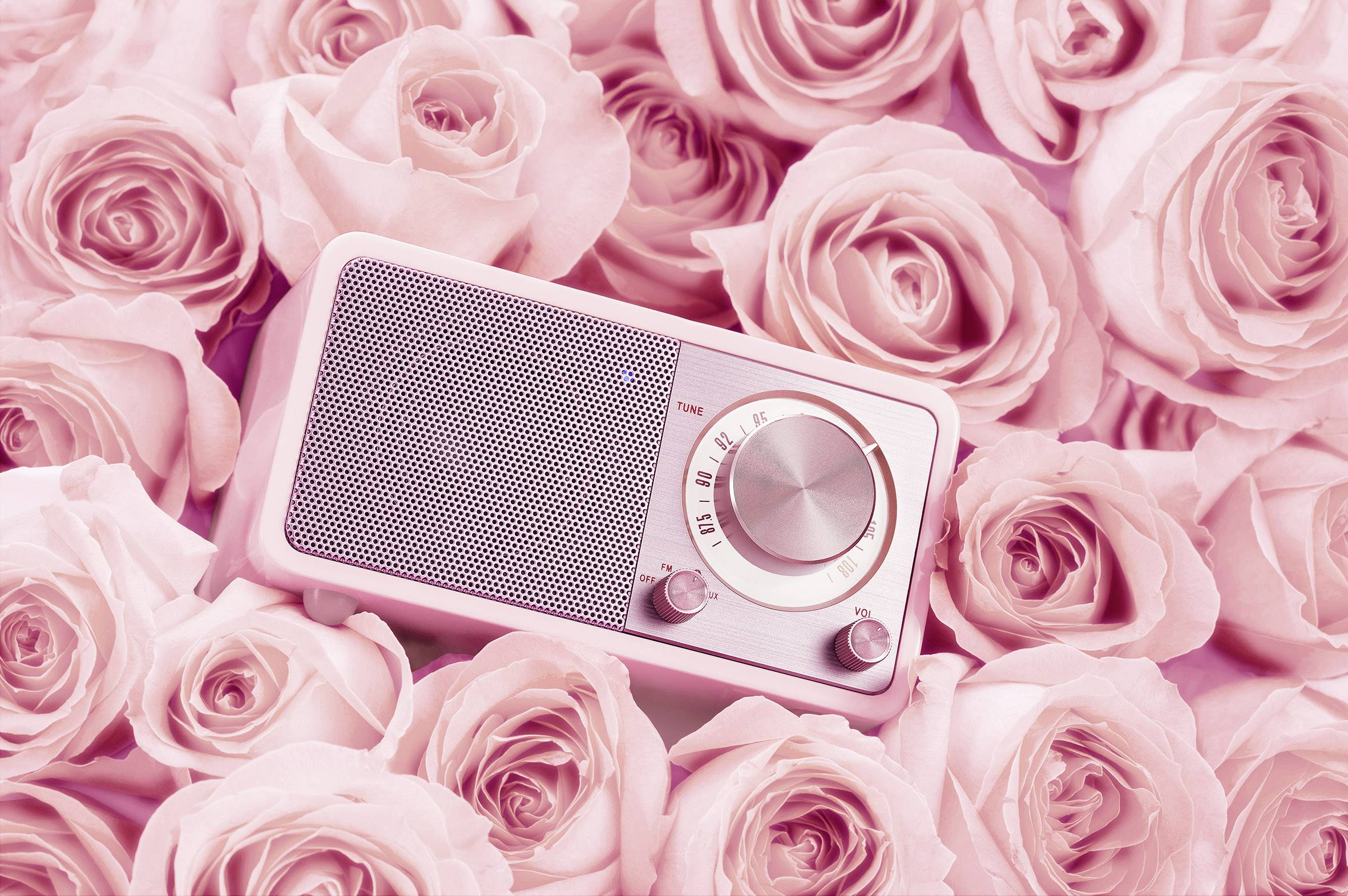 Ein rosa Radio liegt auf einem Bett aus rosafarbenen Rosen, wobei das Radio prominent im Vordergrund zentriert ist.