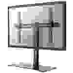 Neomounts FPMA-D1250BLACK TV-Standfuß 81,3cm (32") - 152,4cm (60") Starr