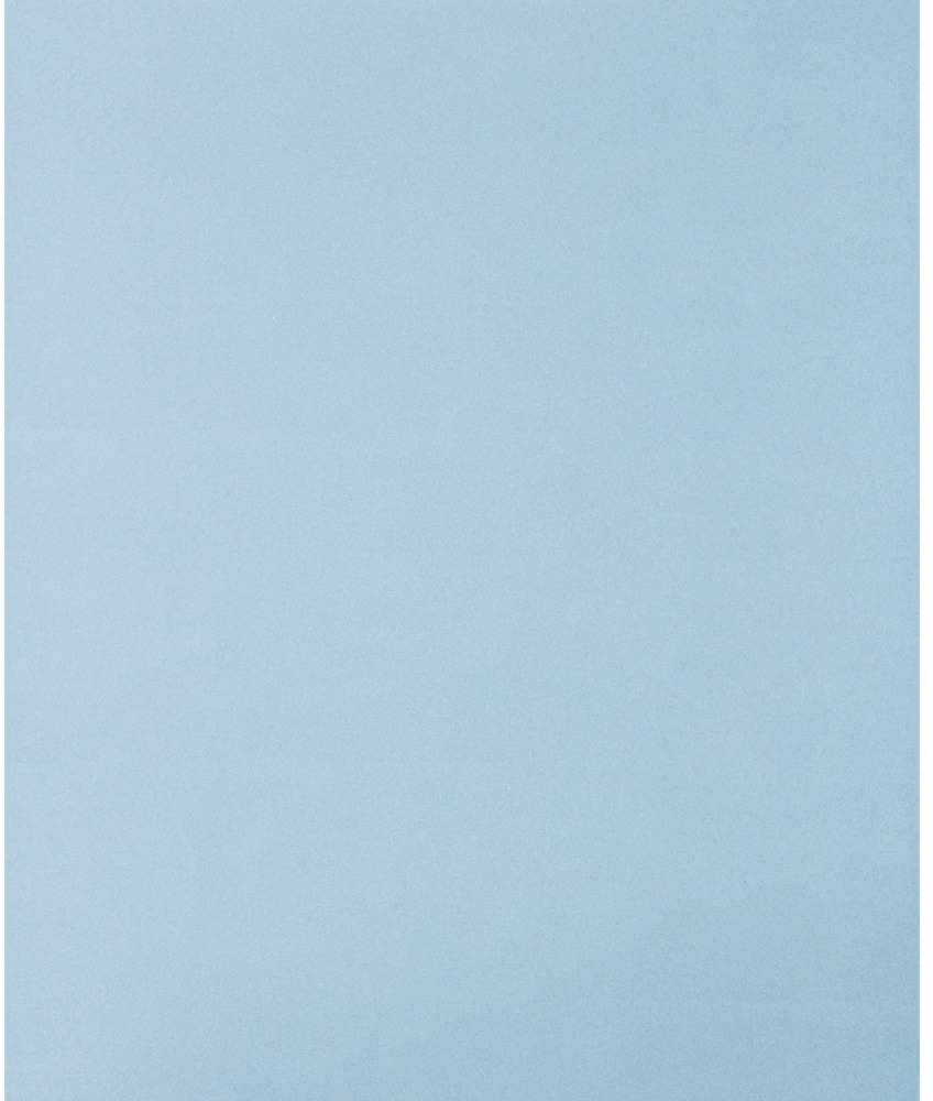 PFERD TOOLS 45015080 Handschleifpapier Körnung (num) 800 (L x B) 280mm x 230mm 50St.