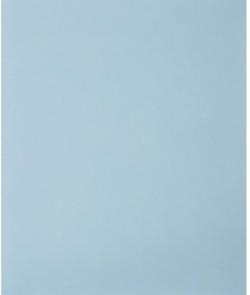 PFERD TOOLS 45015100 Handschleifpapier Körnung (num) 1000 (L x B) 280 mm x 230 mm 50 St.