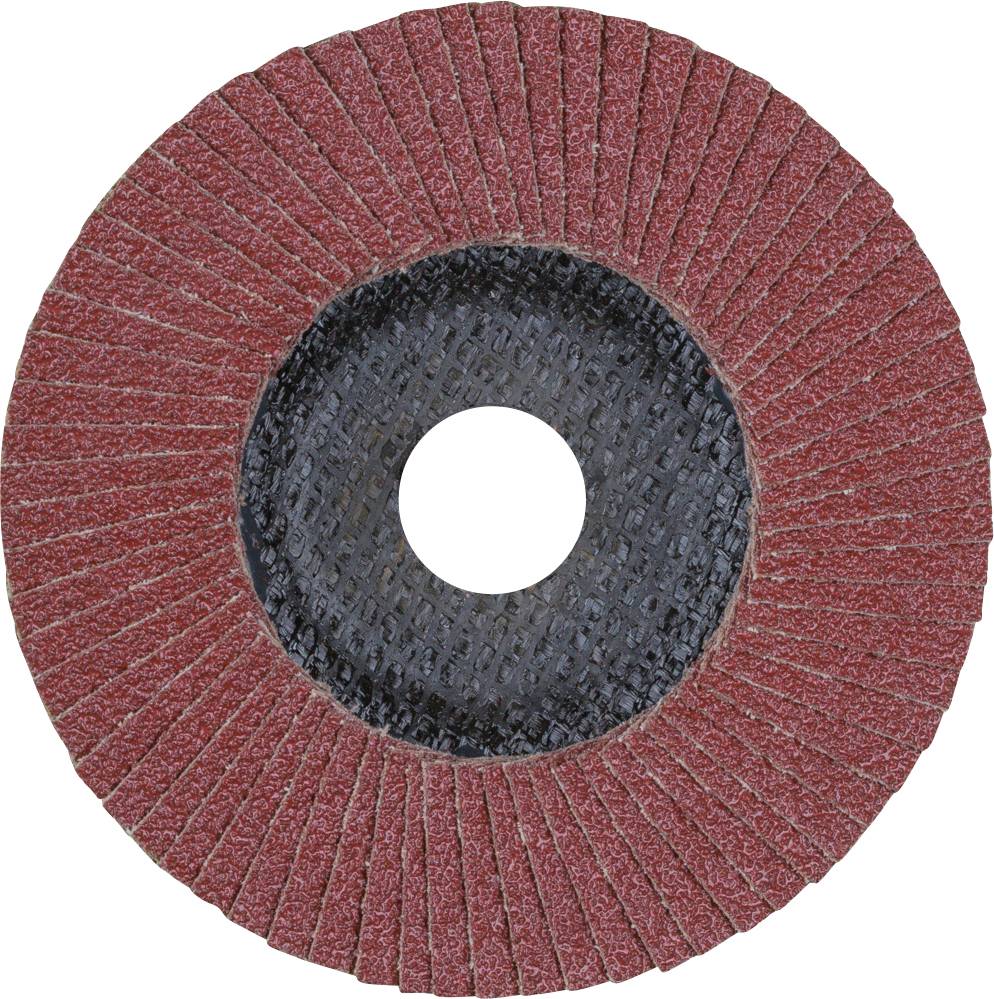 PFERD 67606125A Sg Steelox Fächerschleifscheibe Durchmesser 125mm Bohrungs-Ø 22.23mm 10St.