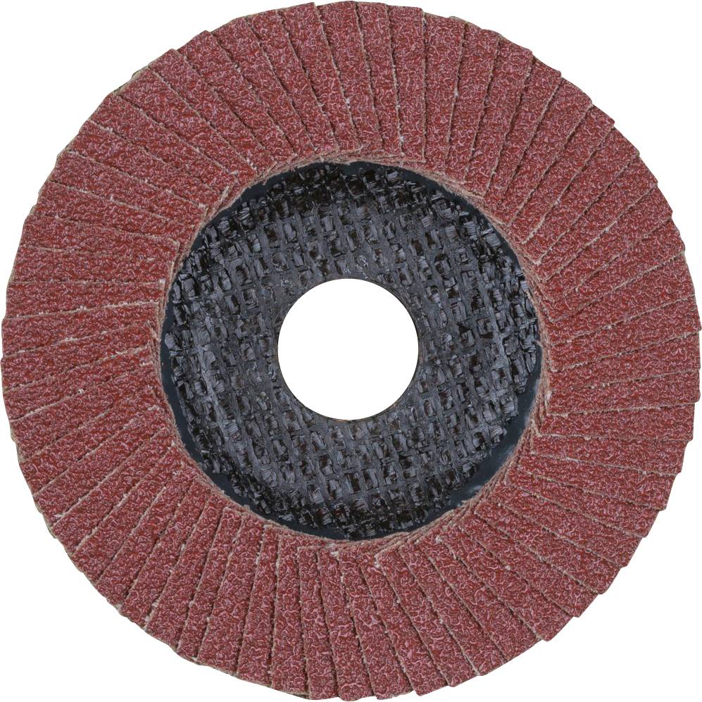 PFERD 67608115A Sg Steelox Fächerschleifscheibe Durchmesser 115mm Bohrungs-Ø 22.23mm 10St.