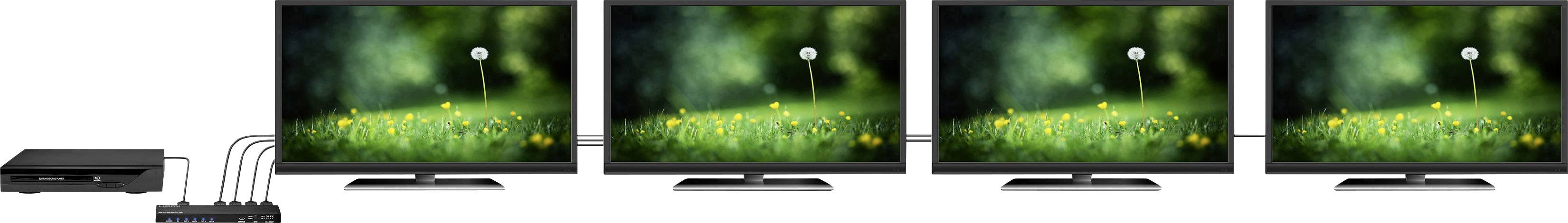 SpeaKa Professional 4 Port HDMI-Splitter mit eingebautem Konverter 4096 x 2160 Pixel Schwarz