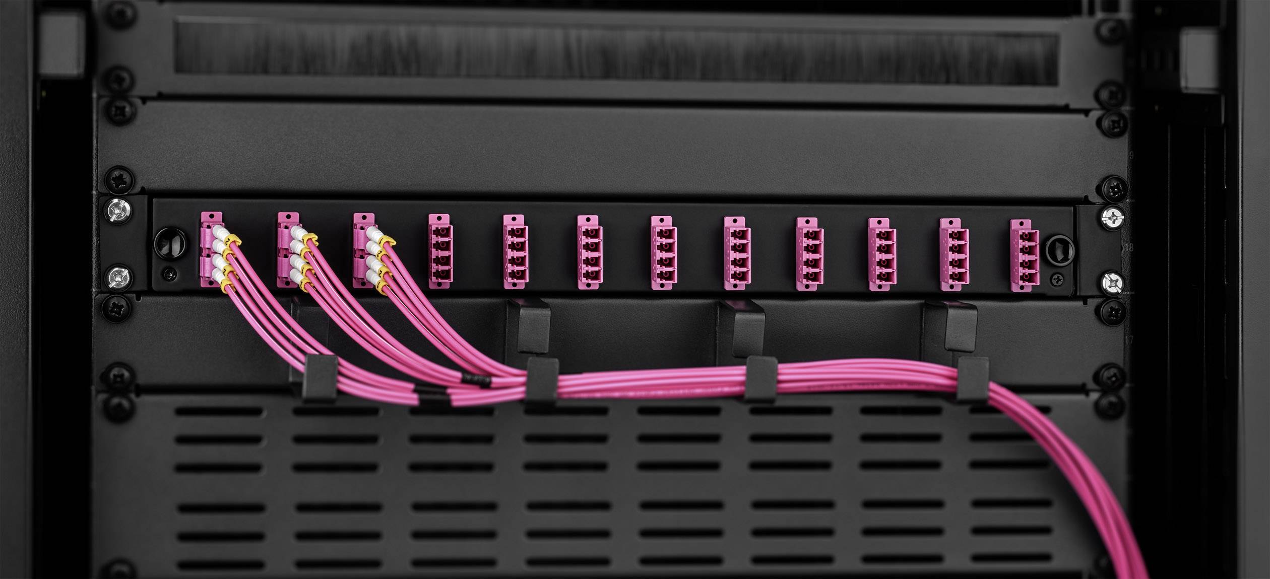 Renkforce LWL-Patchpanel 0 Port Unbestückt 1 HE