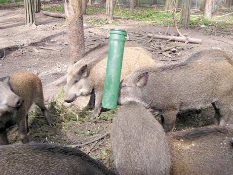 Berger & Schröter Kirrohr 30564 Fütterungsrohr