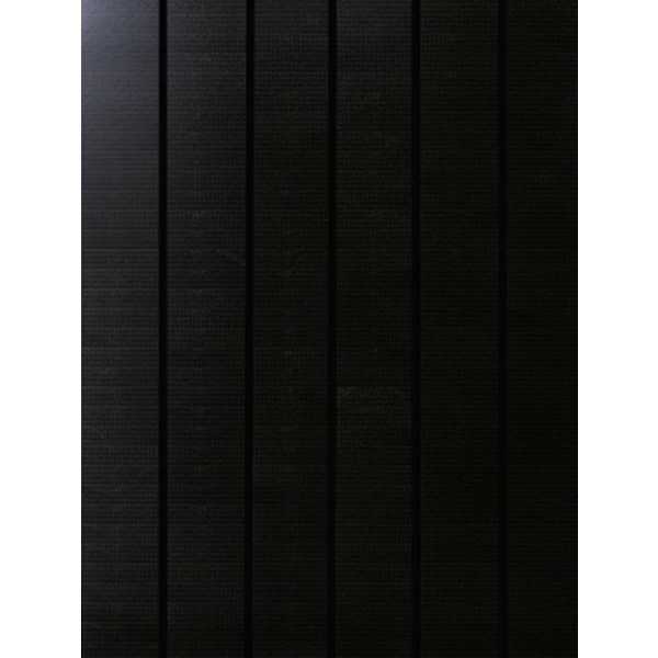 Phaesun Sun Pearl 150 Monokristallines Solarmodul 150 Wp 12V Phaesun Sun Pearl 150 Monokristallines Solarmodul 150 Wp 12V
