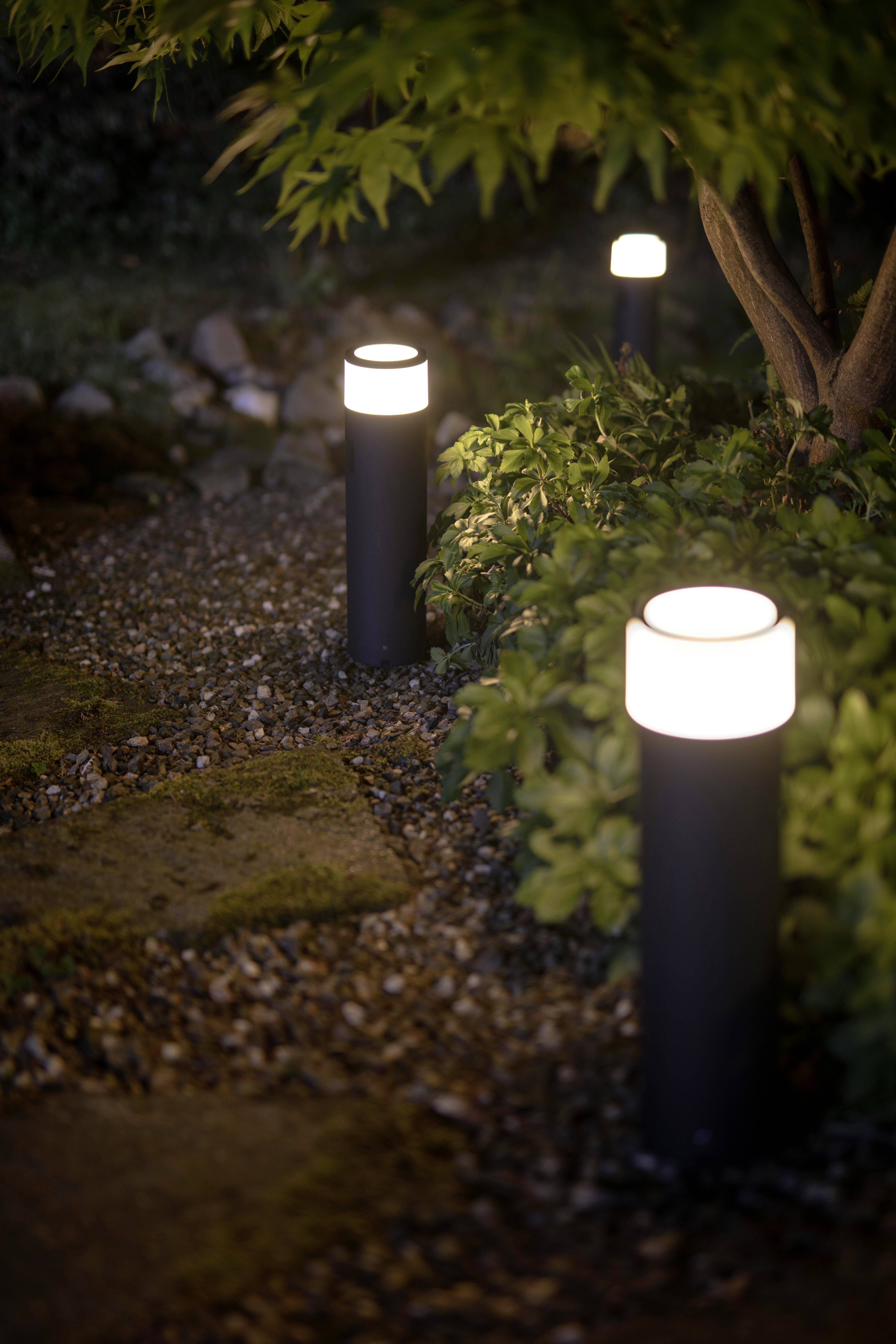 Gartenlandschaft bei Nacht mit leuchtenden Wegleuchten entlang eines Kiespfades, umgeben von grünen Pflanzen und Bäumen.