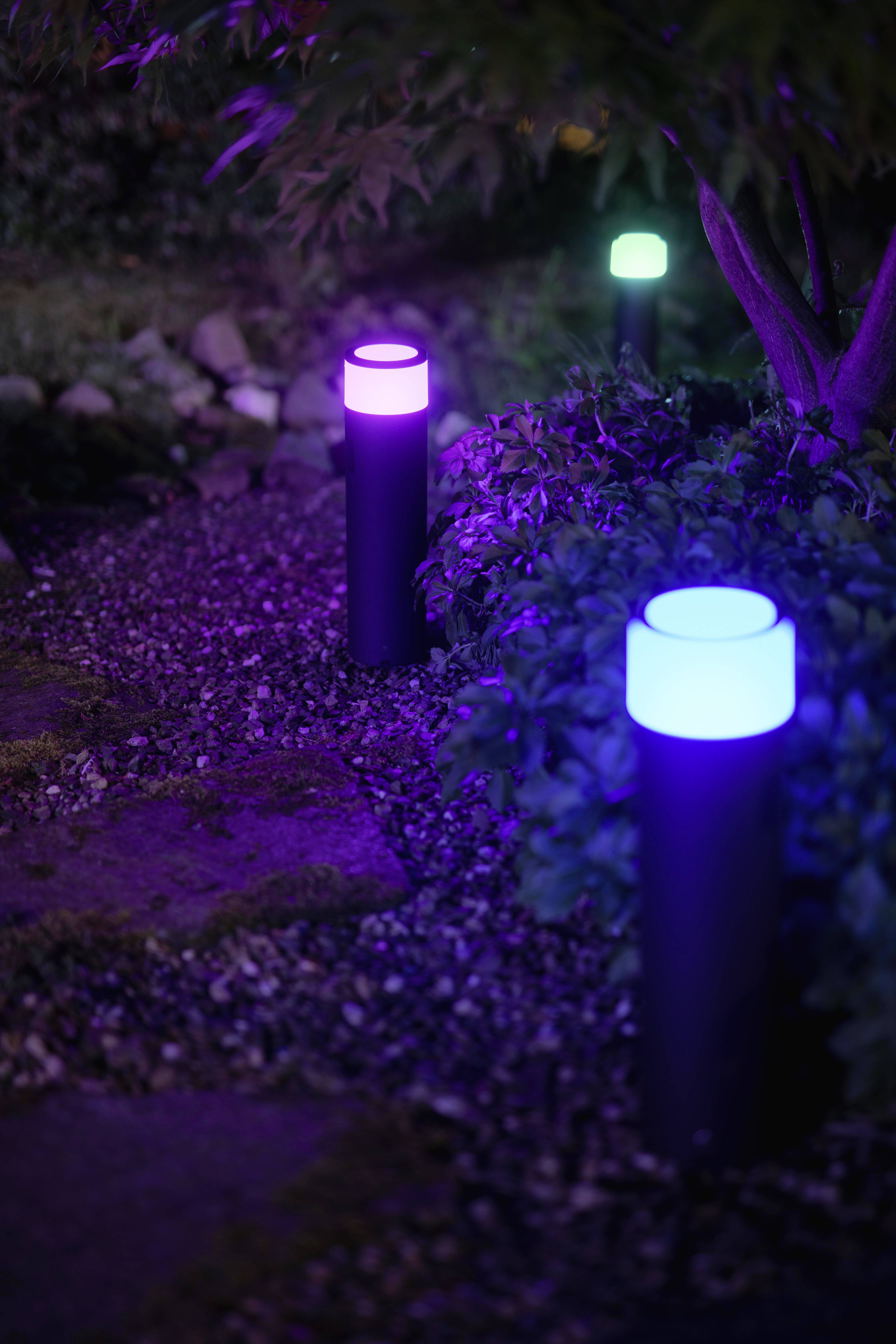 Drei bunte Gartenleuchten beleuchten einen Gehweg bei Nacht, umgeben von Pflanzen. Eine Lampe leuchtet lila, eine blau und eine grün.