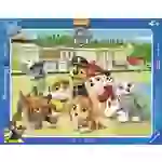 Kinderpuzzle - Paw Patrol, Familienfoto 06155 Kinderpuzzle - Paw Patrol, Familienfoto 1St. Kinderpuzzle - Paw Patrol, Familienfoto 06155 Kinderpuzzle - Paw Patrol, Familienfoto 1St.