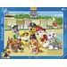 Kinderpuzzle - Paw Patrol, Familienfoto 06155 Kinderpuzzle - Paw Patrol, Familienfoto 1St. Kinderpuzzle - Paw Patrol, Familienfoto 06155 Kinderpuzzle - Paw Patrol, Familienfoto 1St.