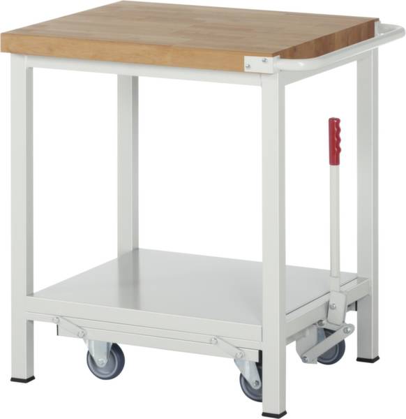 RAU 05 8000-6-077B4F.12 Werkbank (B x H x T) 750 x 880 x 700mm