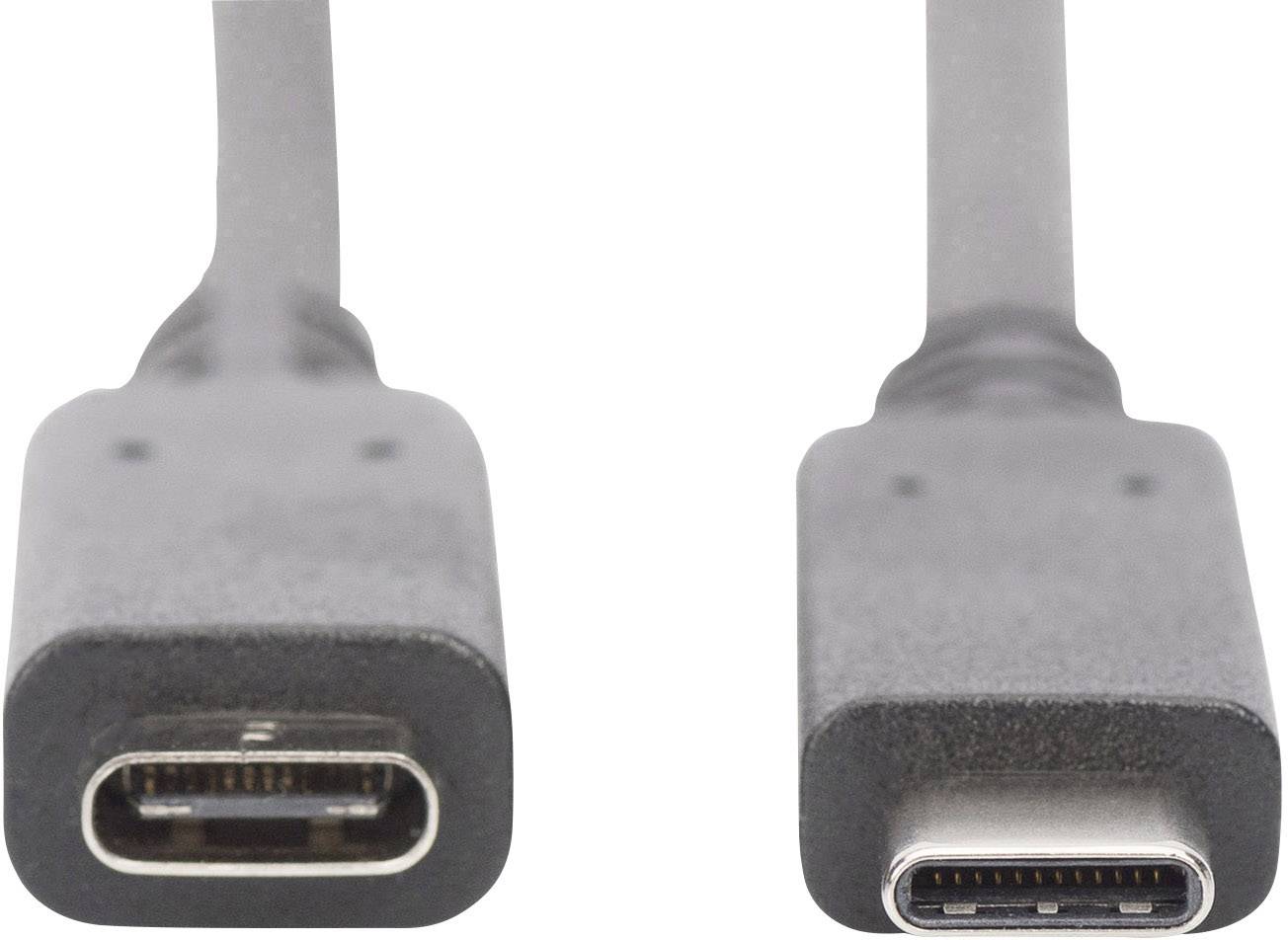 Zwei USB-C-Stecker. Links ein weiblicher Stecker und rechts ein männlicher Stecker, beide grau und nebeneinander angeordnet.