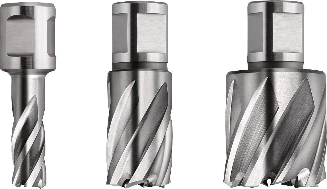 Fein 63134170301 Kernlochbohrer 17 mm 1 St.