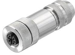 Ein Metallstecker mit mehreren Pins, häufig verwendet für Audio- oder technische Verbindungen, zeigt die Front- und Seitenansicht.