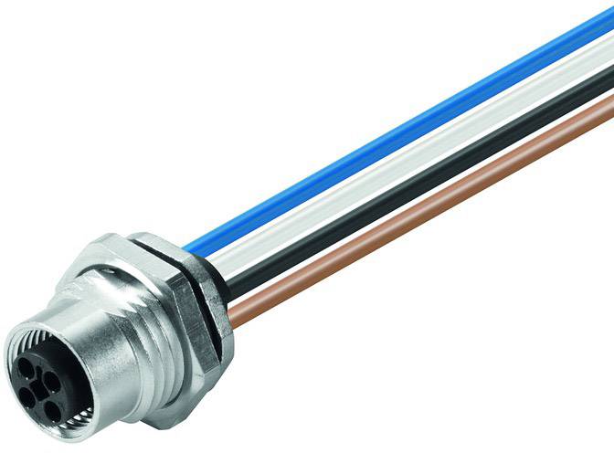 Mehrpoliger Stecker mit blauen, schwarzen, weißen und braunen Drähten, mit silberner Metallfassung.