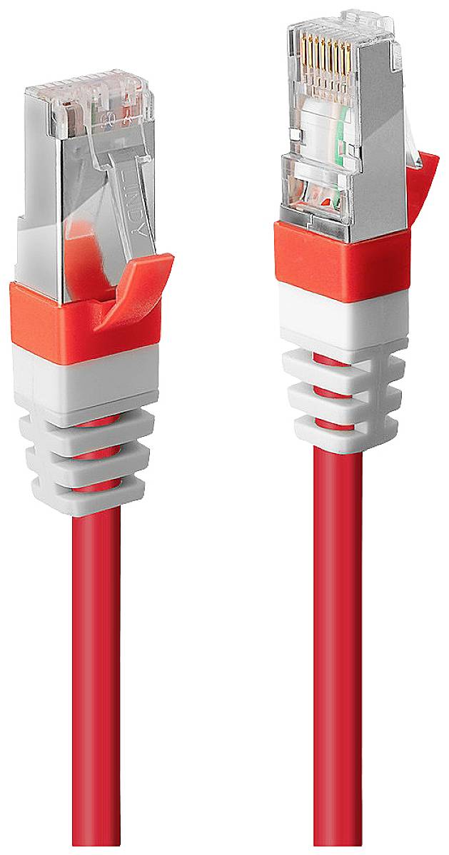 Zwei rote Ethernet-Kabel mit Steckern, die nebeneinander stehen.