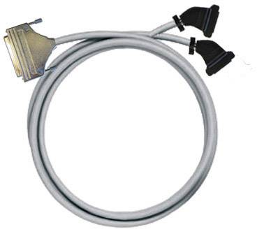 Ein graues Parallelkabel mit einem 36-poligen Centronics-Stecker und zwei 25-poligen D-Sub-Steckern, typisch für Druckerverbindungen.