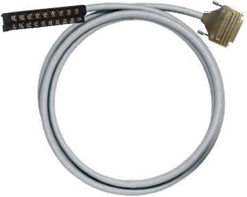 Graues Kabel mit 24-poligem Stecker auf einer Seite und einem SCSI-Stecker auf der anderen. Verwendet für PC-SCSI-Verbindungen.