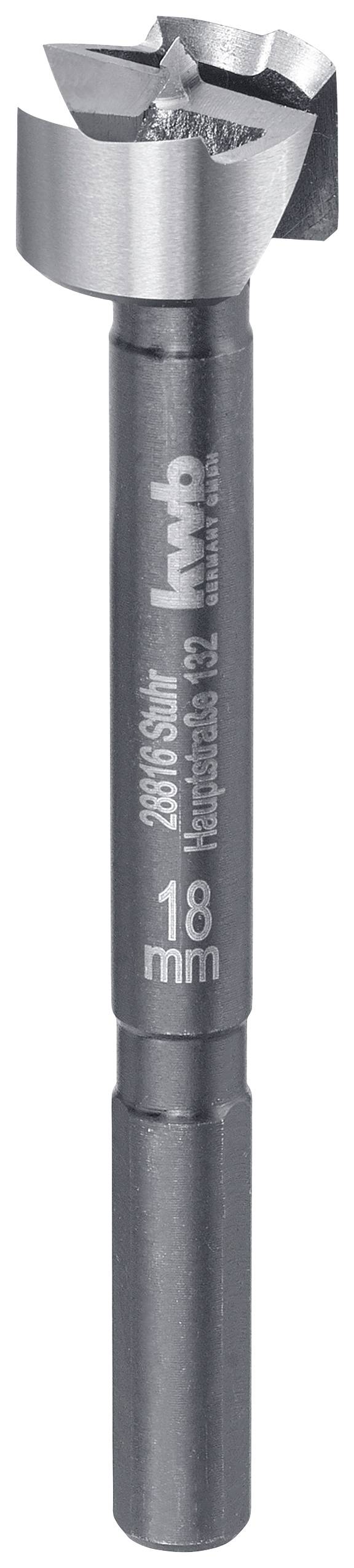 Ein silberner Forstnerbohrer mit Präzisionsspitze und 16 mm Durchmesser, geeignet für Holzbearbeitung, steht aufrecht.