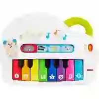 Fisher Price Fisher Price® Babys erstes Keyboard GFK01 Fisher Price Fisher Price® Babys erstes Keyboard GFK01