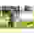 Hailo T80 FLEXLINE 7113-091 Aluminium Teleskopleiter Arbeitshöhe (max.): 3.4m Silber, Schwarz, Rot DIN EN 131 8.1kg