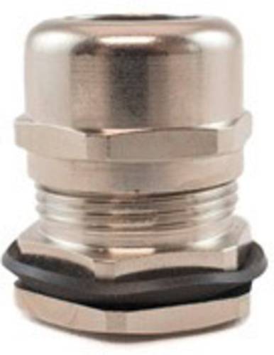 MNPT3/8 NC080 Kabelverschraubung mit Gegenmutter 3/8 NPT Messing (vernickelt) Nickel 1 S