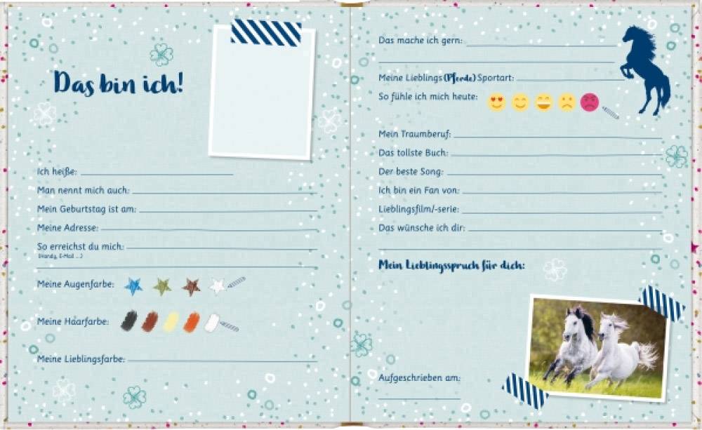 Vedes Kinderbuch Freundebuch: Pferdefr. - Meine Freunde (m. Wendepailletten) 94954 1St.