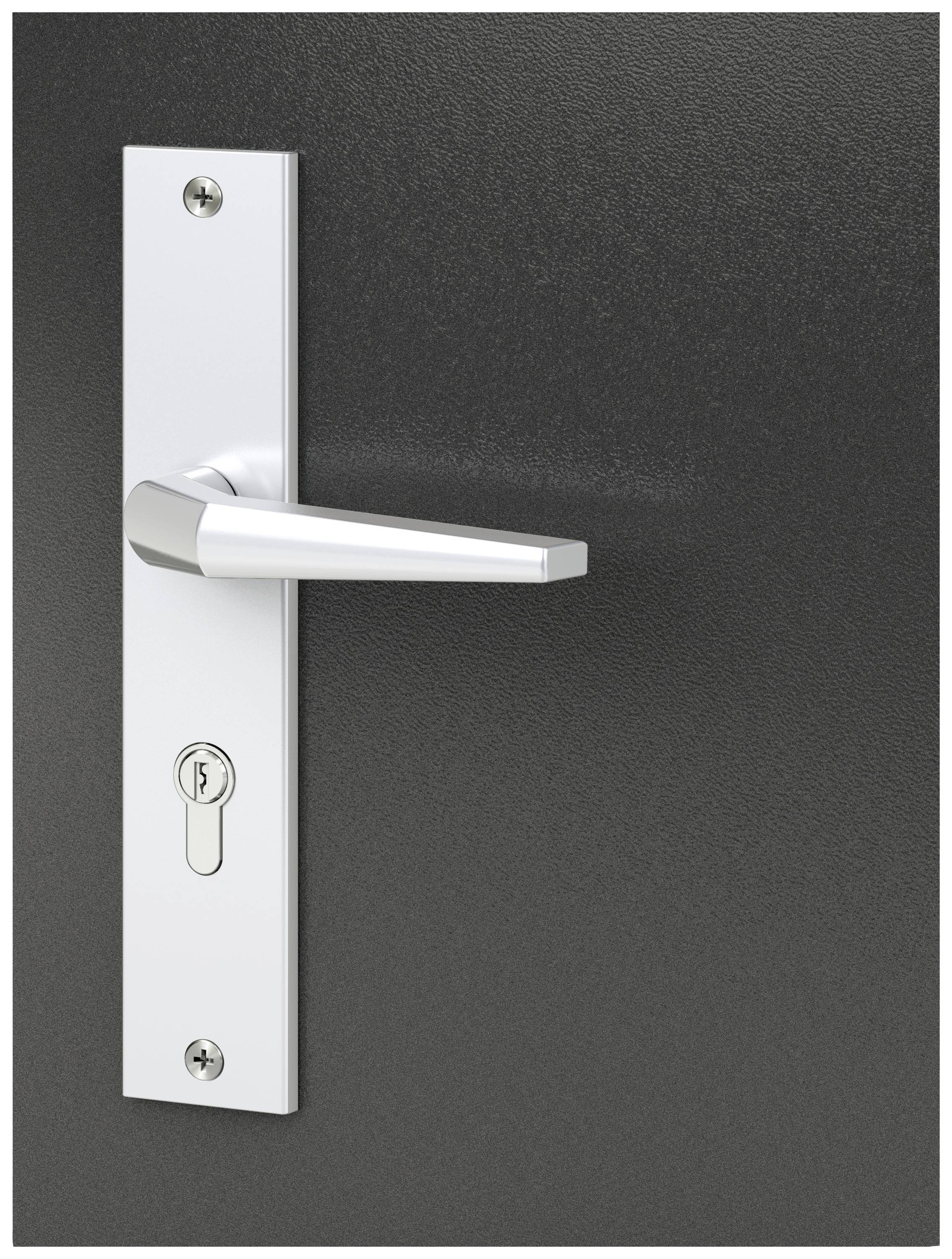 Basi 7900-0101 Vollmaterial-Schutzbeschlag