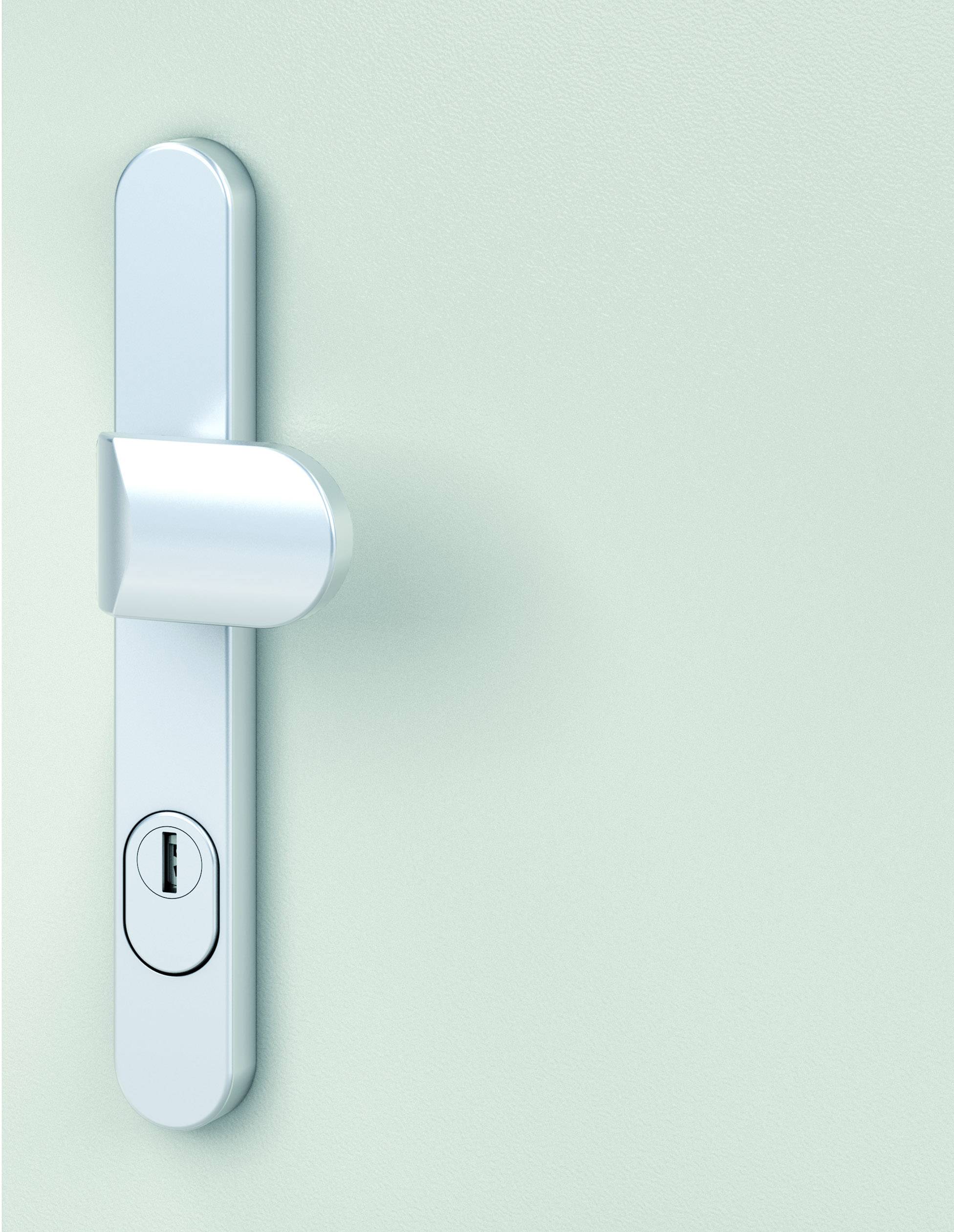 Basi 7903-0401 Vollmaterial-Schutzbeschlag