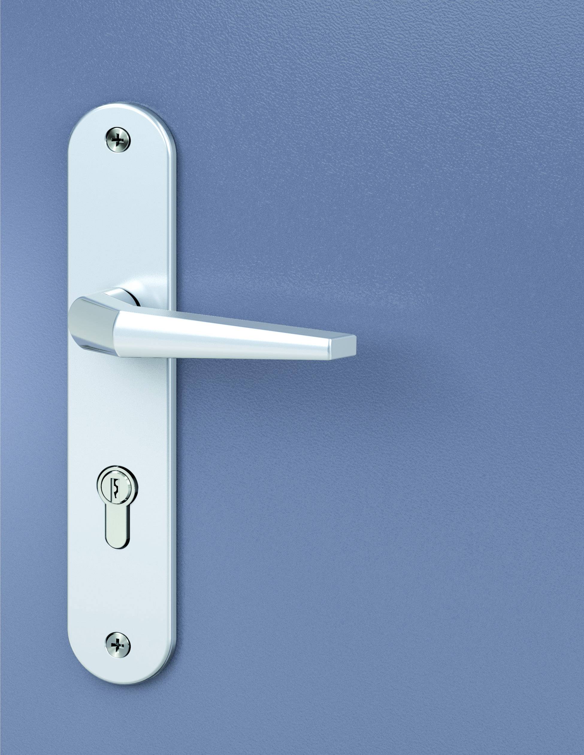 Basi 7901-0401 Vollmaterial-Schutzbeschlag