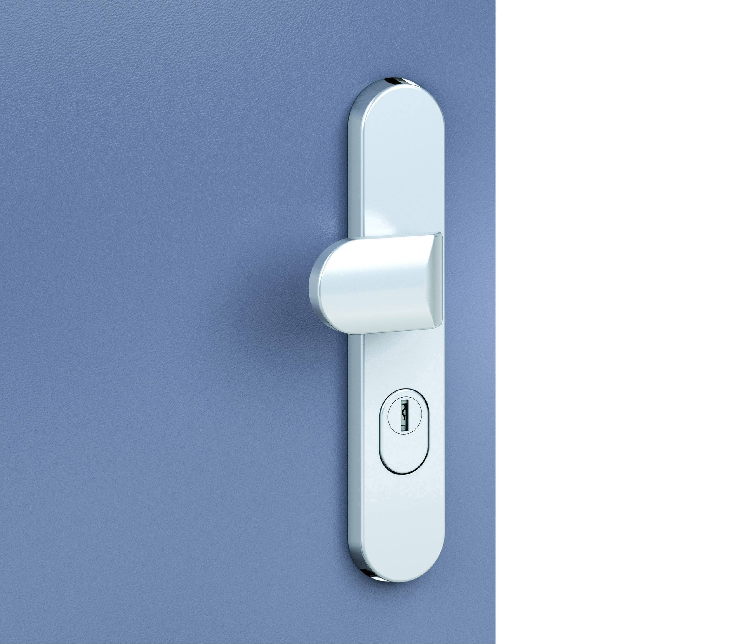 Basi 7901-0401 Vollmaterial-Schutzbeschlag