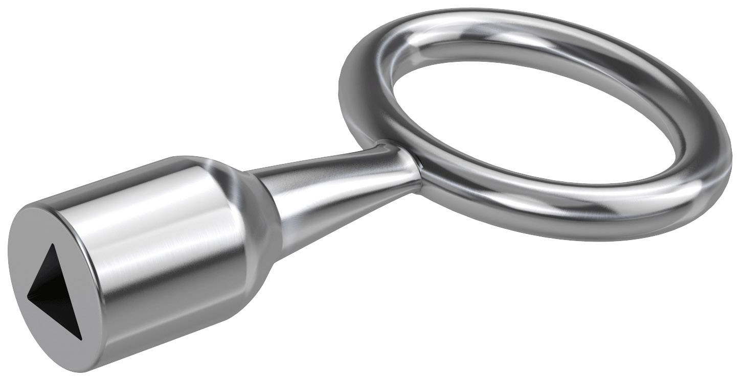 Basi 301D-7 Dornschlüssel Silber