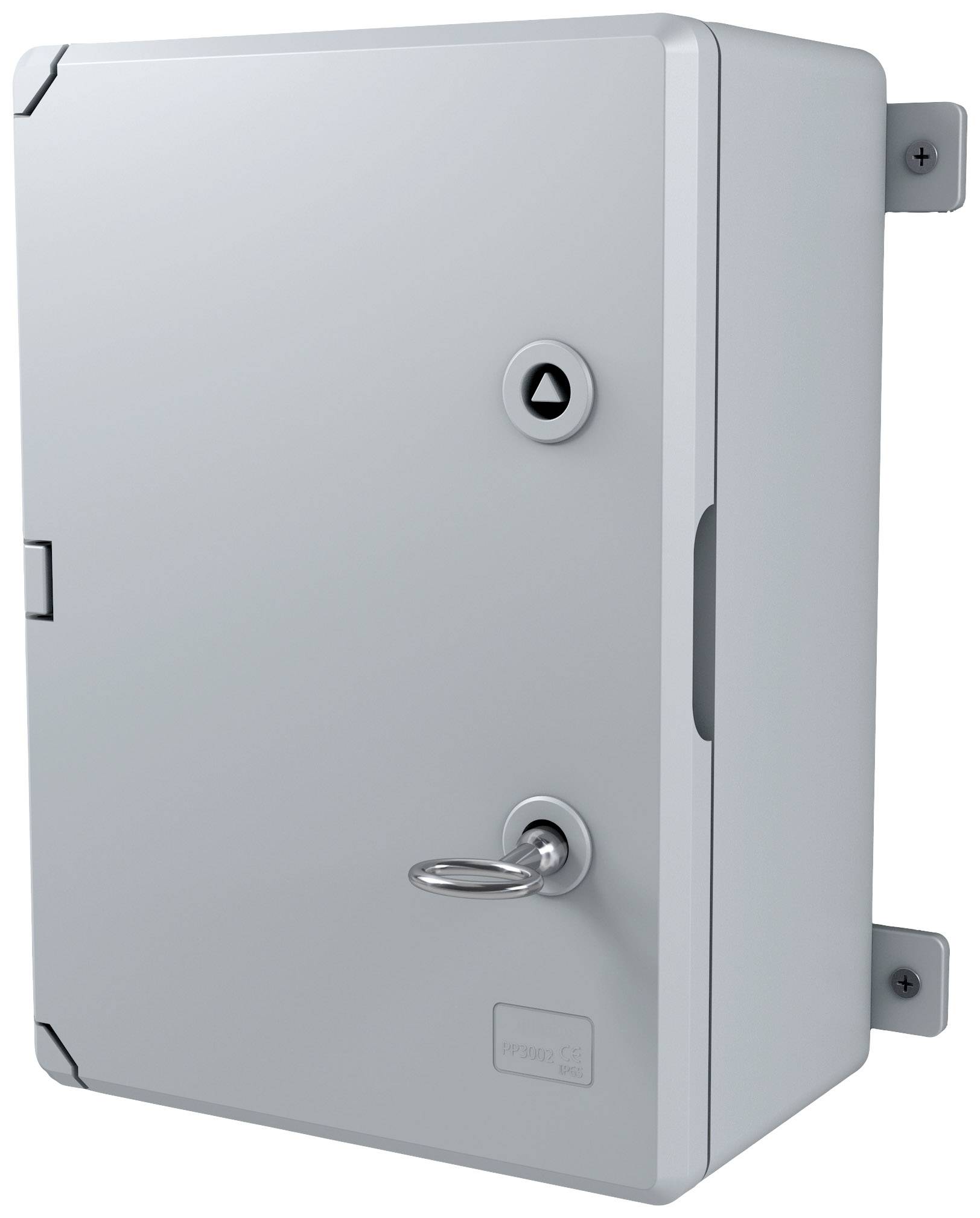 Basi 301D-7 Dornschlüssel Silber